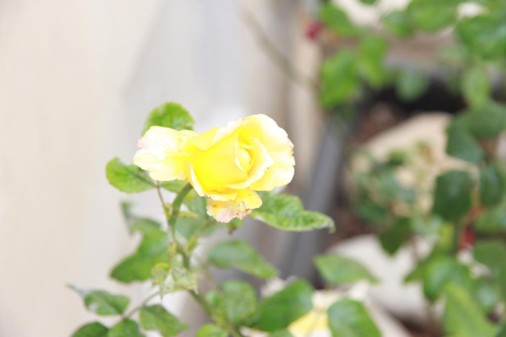 Apartmán Canton Delle Rose Scicli Exteriér fotografie